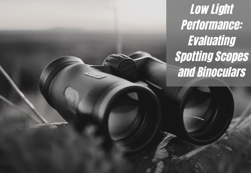 Low Light Performance: Evaluating Spotting Scopes and Binoculars