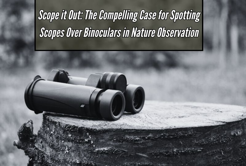 Scope it Out: The Compelling Case for Spotting Scopes Over Binoculars in Nature Observation