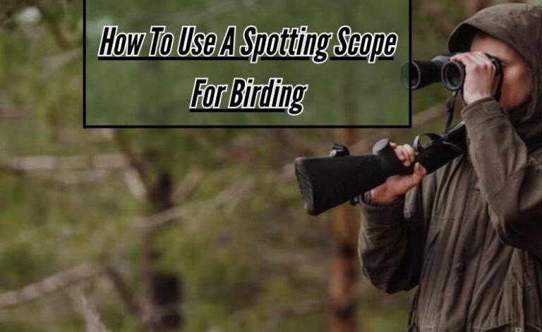 How To Use A Spotting Scope For Birding