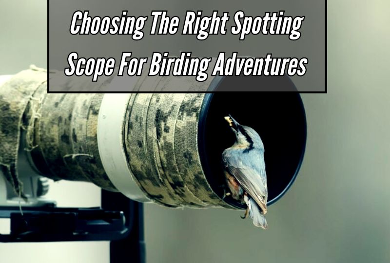 Choosing the Right Spotting Scope for Birding Adventures