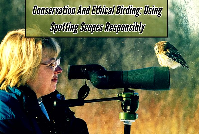 Conservation and Ethical Birding: Using Spotting Scopes Responsibly